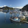 Spend a Day in Picton 